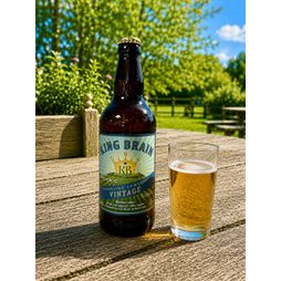 King Brain Organic Vintage Cider 6.5% ABV (500ml)