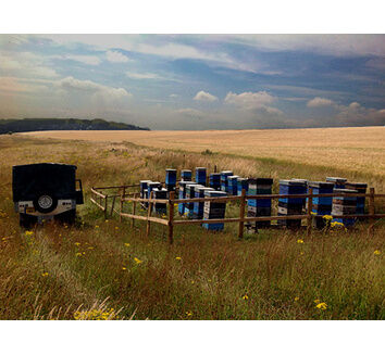 Wainwright's Salisbury Plain Set Honey (340g)