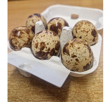 Quail Eggs
