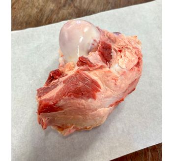 Beef Knuckle Bone