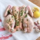 Spatchcock Chicken additional 2