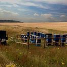 Wainwright's Salisbury Plain Set Honey (340g) additional 2
