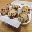 Quail Eggs additional 1
