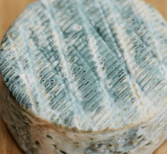 Cheese