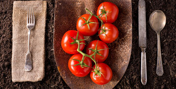 Tomatoes,Organic,Farm,To,Table,Healthy,Eating,Concept,On,Soil