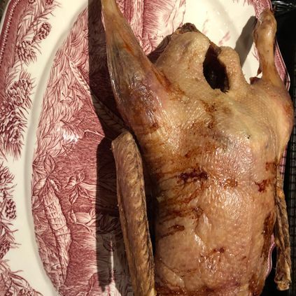 Customer image of Free Range Goose