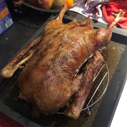 Customer image of Free Range Goose