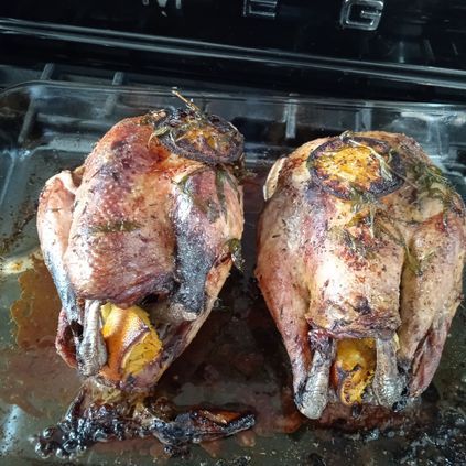 Customer image of Pheasant Brace