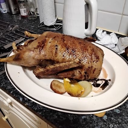 Customer image of Free Range Goose