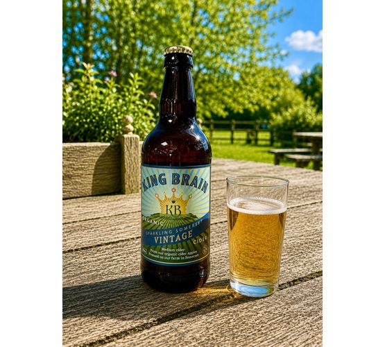 King Brain Organic Vintage Cider 6.5% ABV (500ml)
