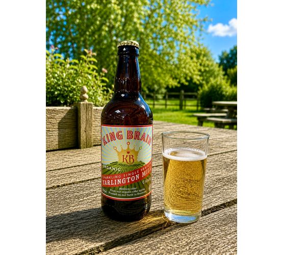 King Brain Organic Yarlington Mill Cider 6.5% ABV (500ml)