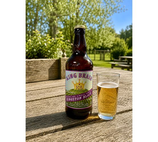 King Brain Organic Kingston Black Cider 6.5% ABV (500ml)