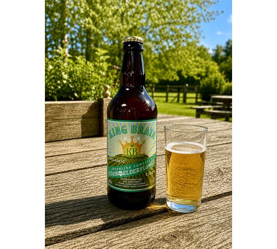 King Brain Organic Cider with Elderflower 4.5% ABV (500ml)